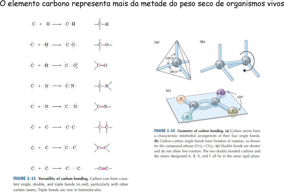 metade do peso seco