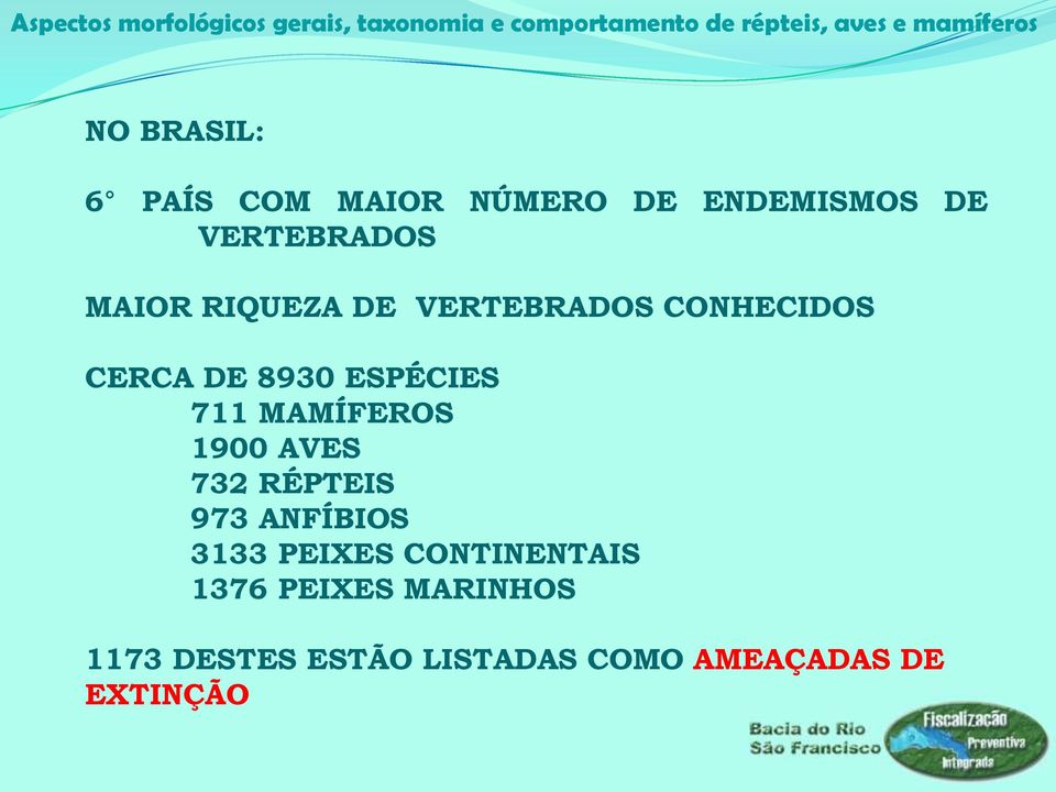 MAMÍFEROS 1900 AVES 732 RÉPTEIS 973 ANFÍBIOS 3133 PEIXES