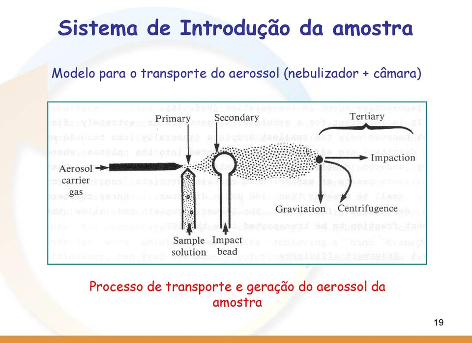 (nebulizador + câmara) Processo de