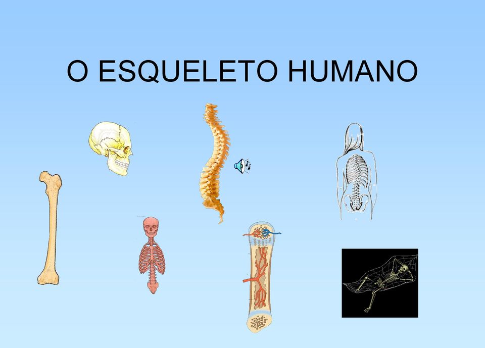 HUMAN