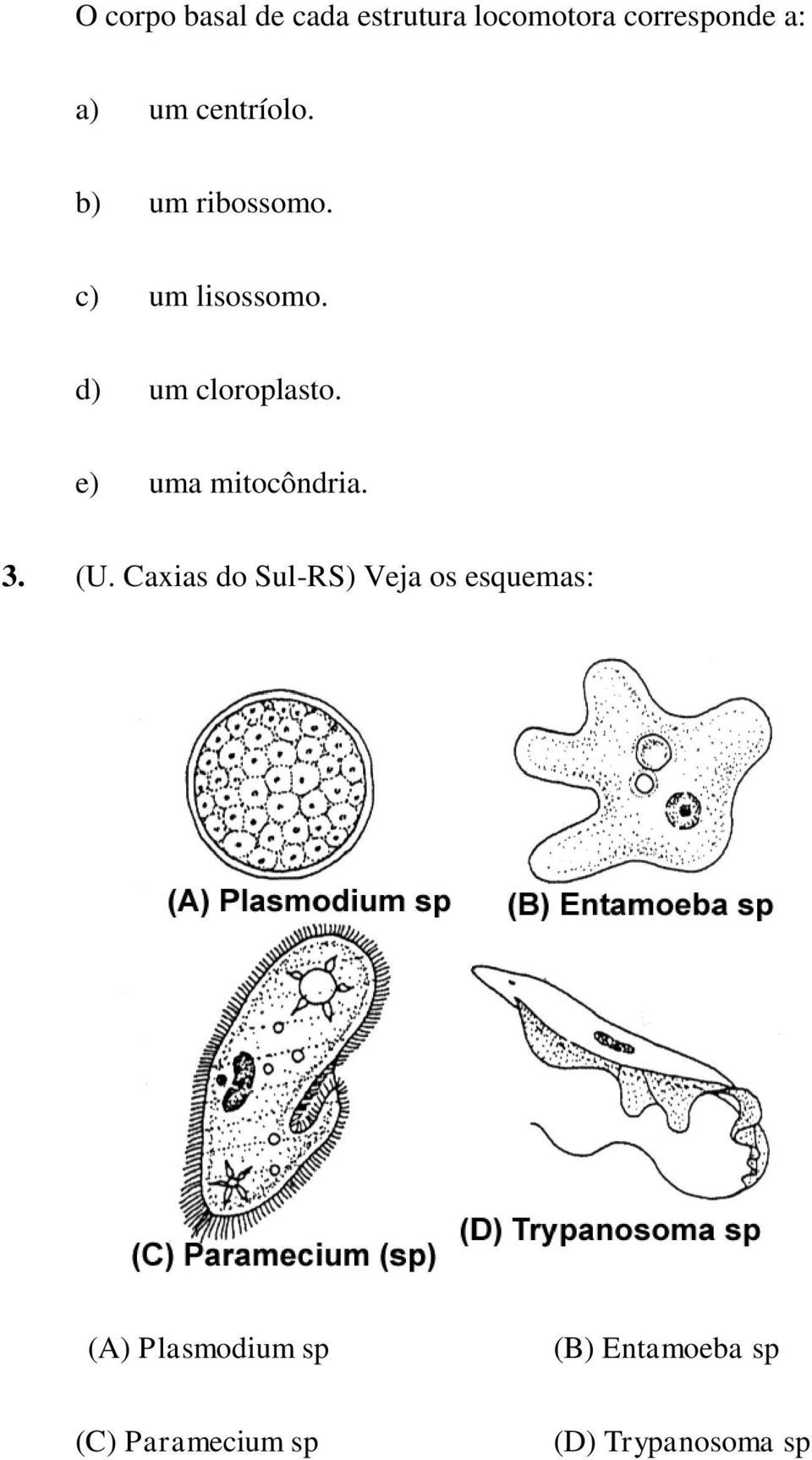 e) uma mitocôndria. 3. (U.