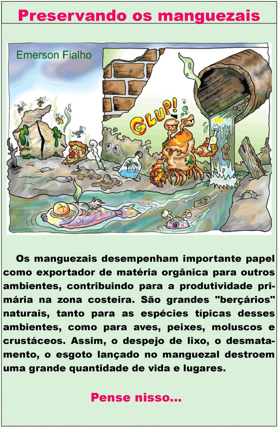 São grandes "berçários" naturais, tanto para as espécies típicas desses ambientes, como para aves, peixes,