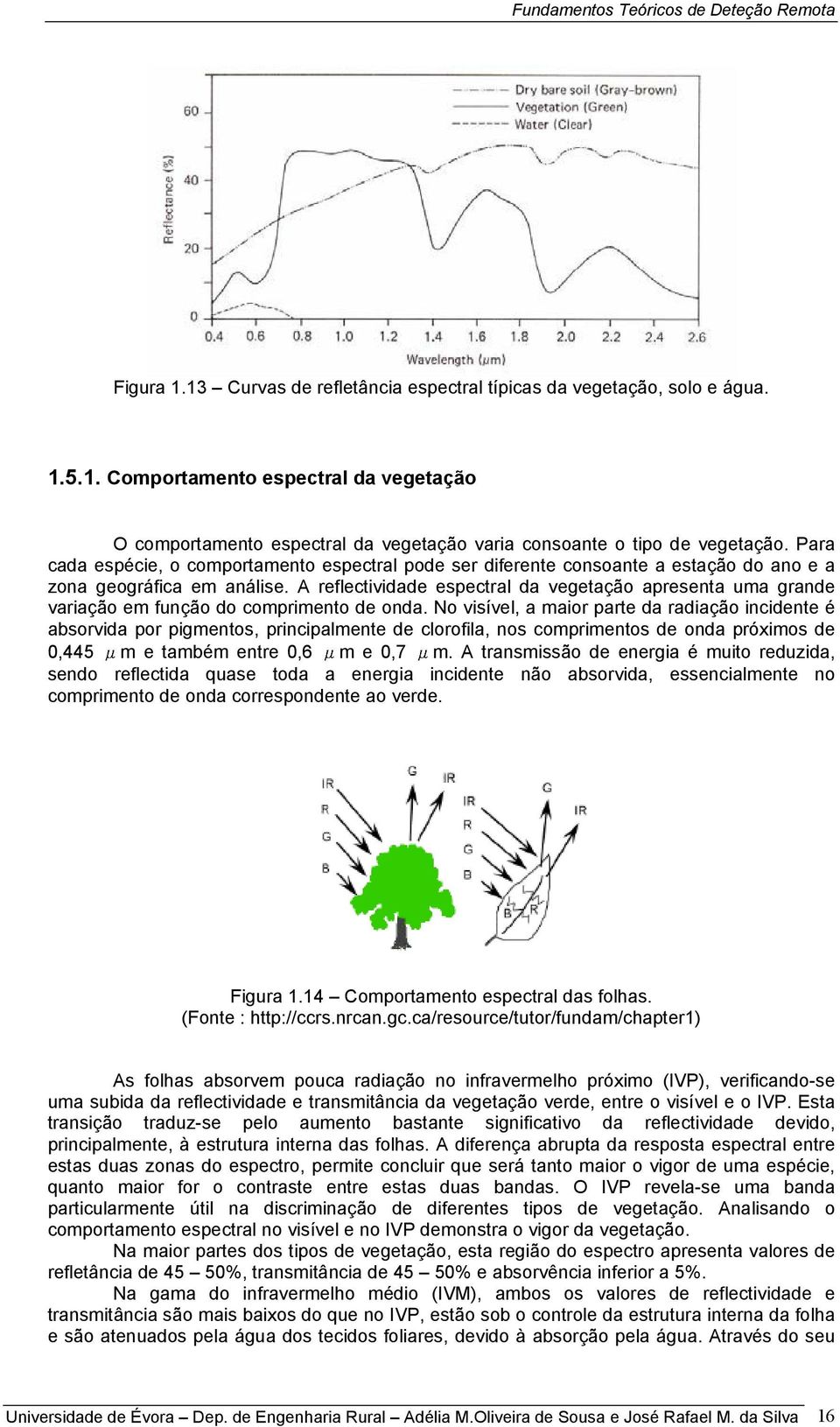 A reflectividade espectral da vegetação apresenta uma grande variação em função do comprimento de onda.