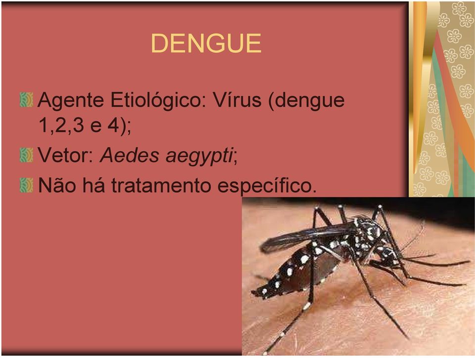 Vetor: Aedes aegypti; Não