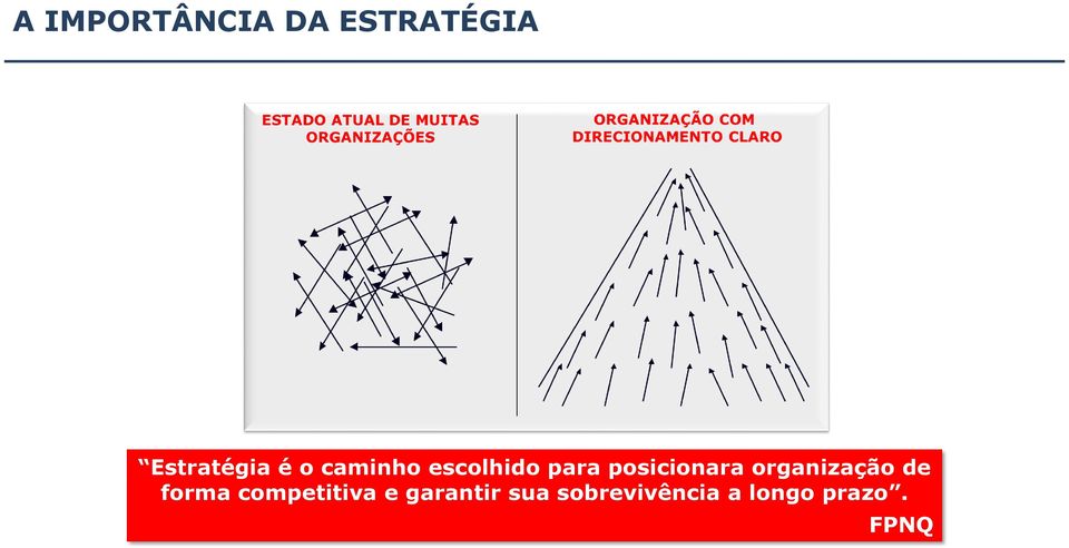 organização de forma competitiva e