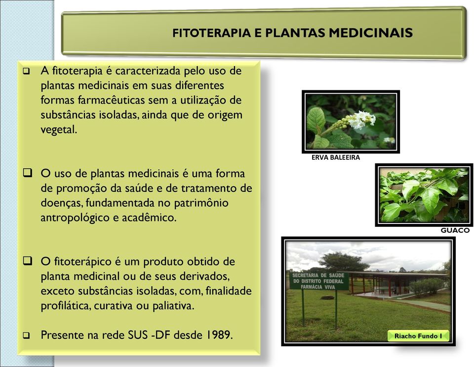 O uso de plantas medicinais é uma forma de promoção da saúde e de tratamento de doenças, fundamentada no patrimônio antropológico e