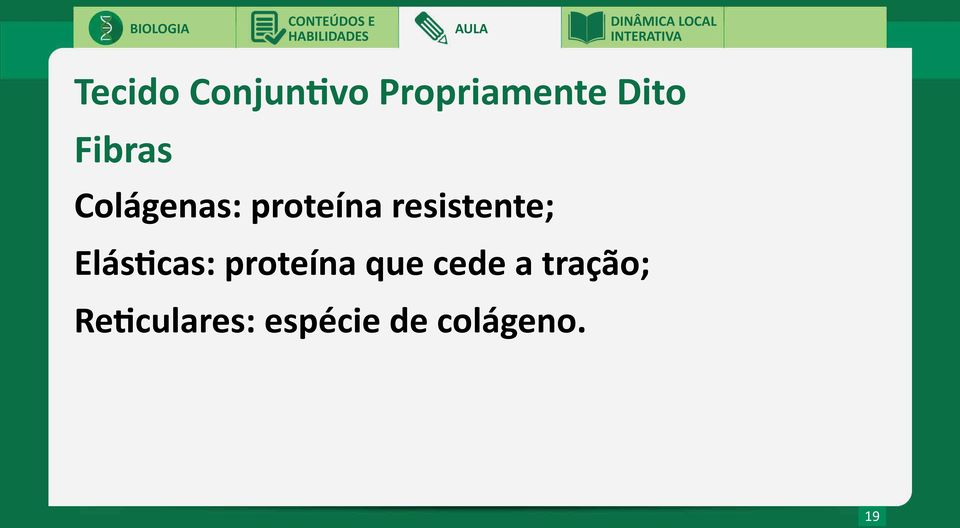 resistente; Elásticas: proteína que