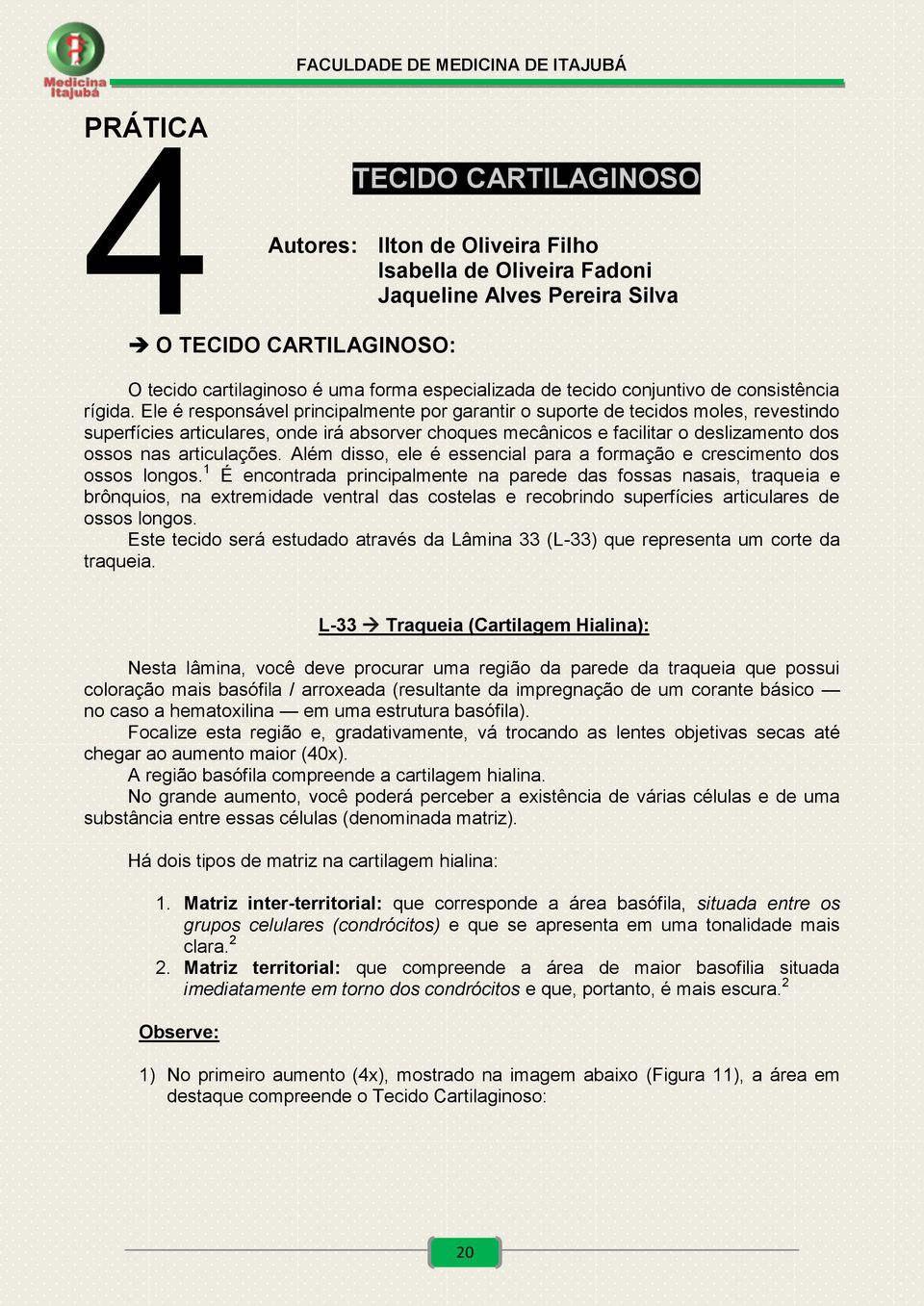 Ele é responsável principalmente por garantir o suporte de tecidos moles, revestindo superfícies articulares, onde irá absorver choques mecânicos e facilitar o deslizamento dos ossos nas articulações.