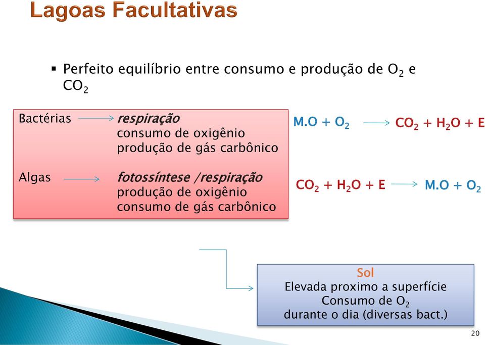 O + O 2 CO 2 + H 2 O + E Algas fotossíntese /respiração produção de oxigênio consumo