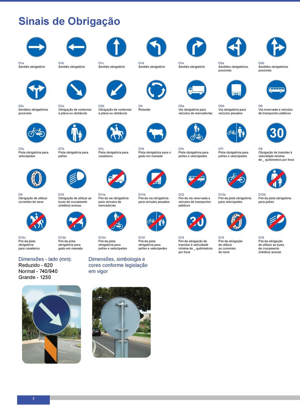 de mercadorias D5b Via obrigatória para veículos pesados D6 Via reservada a veículos de transportes públicos D7a Pista obrigatória para velocípedes D7b Pista obrigatória para peões D7c Pista