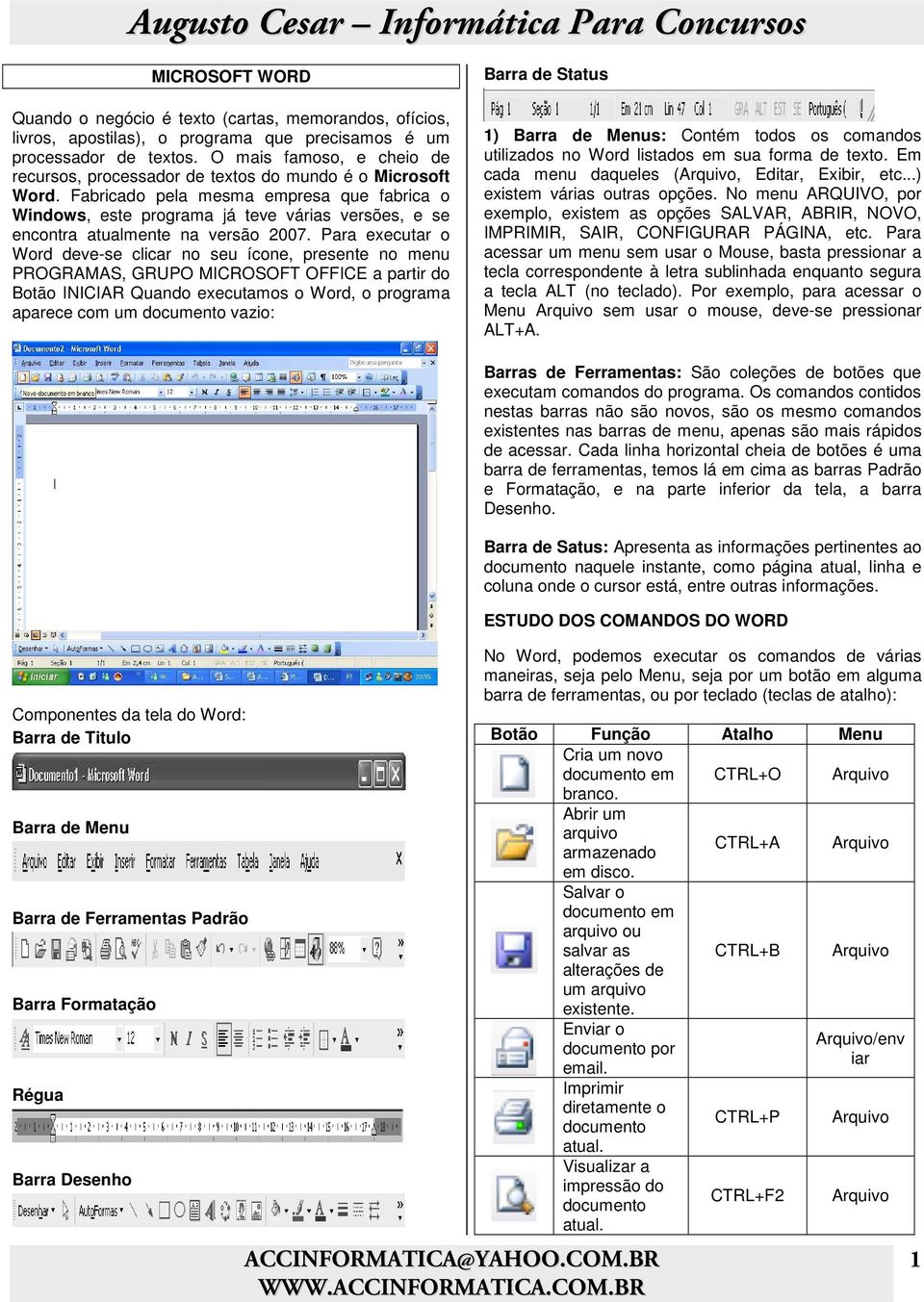 Fabricado pela mesma empresa que fabrica o Windows, este programa já teve várias versões, e se encontra atualmente na versão 2007.