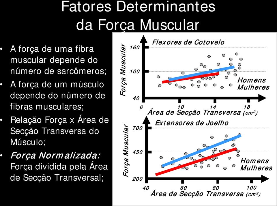 Fatores Determinantes da Força Muscular Força Muscular Força Muscular 160 100 40 700 450 200 Flexores de Cotovelo 6 10 14