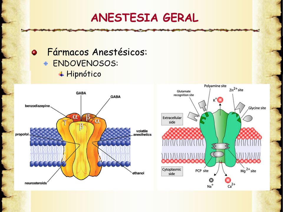 Anestésicos: