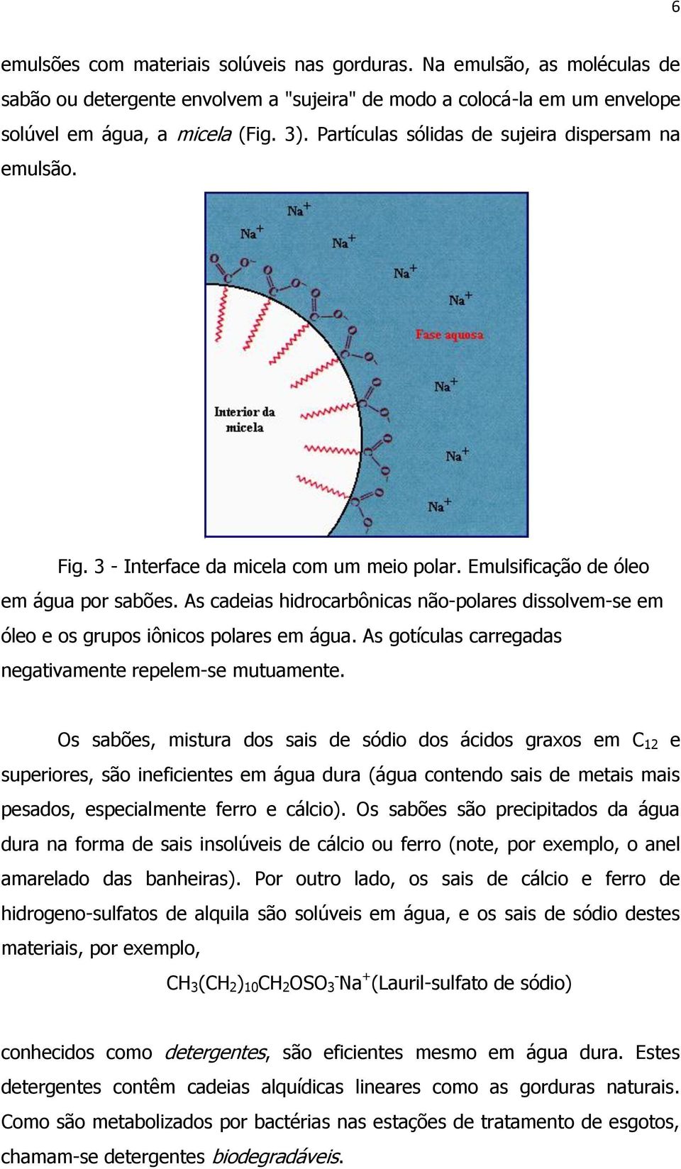 As cadeias hidrocarbônicas não-polares dissolvem-se em óleo e os grupos iônicos polares em água. As gotículas carregadas negativamente repelem-se mutuamente.