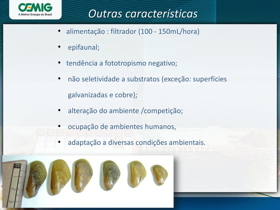 substratos (exceção: superfícies galvanizadas e cobre); alteração do