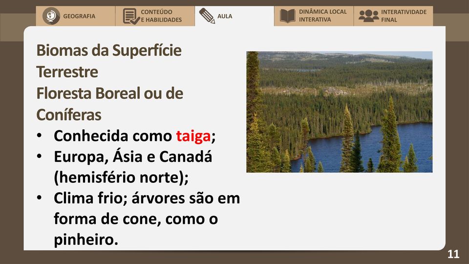 Ásia e Canadá (hemisfério norte); Clima frio;