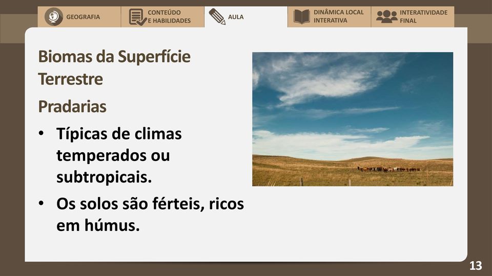 temperados ou subtropicais.