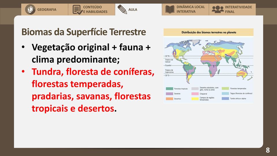 floresta de coníferas, florestas temperadas,