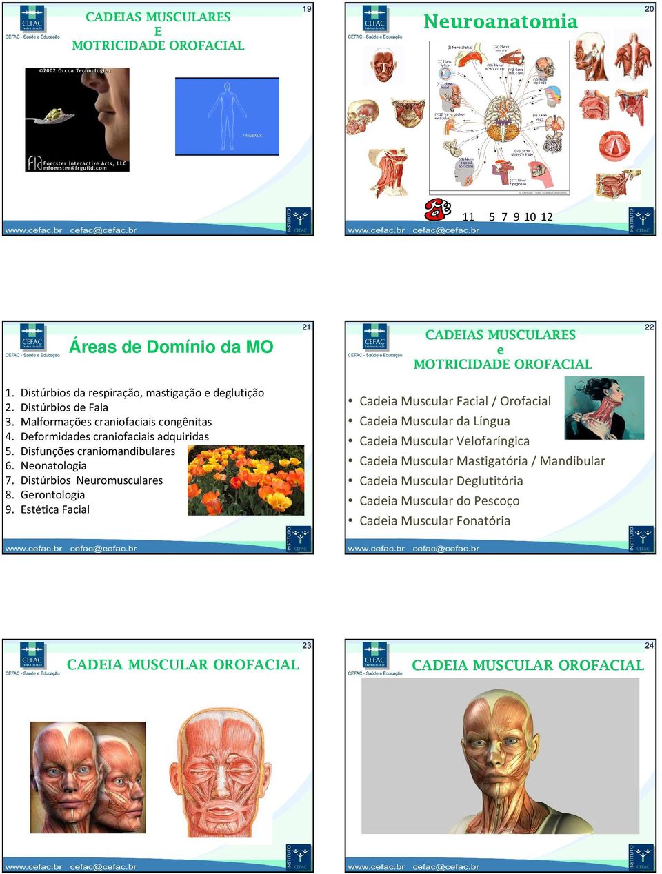 Disfunções craniomandibulares 6. Neonatologia 7. Distúrbios Neuromusculares 8. Gerontologia 9.