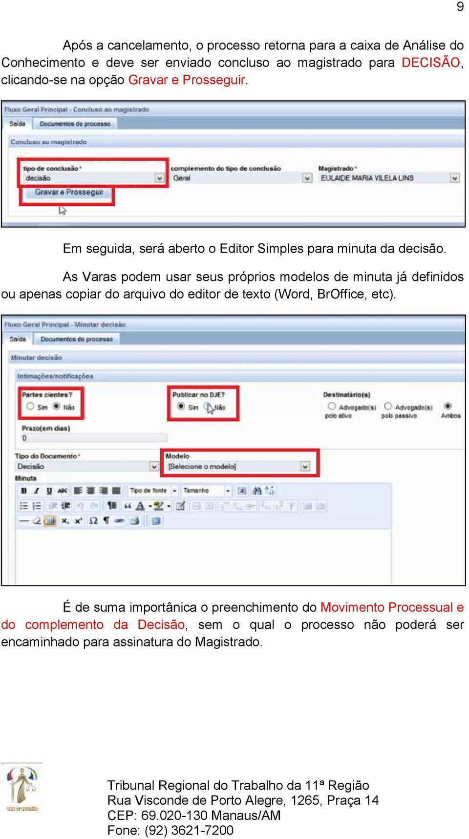As Varas podem usar seus próprios modelos de minuta já definidos ou apenas copiar do arquivo do editor de texto (Word, BrOffice, etc).