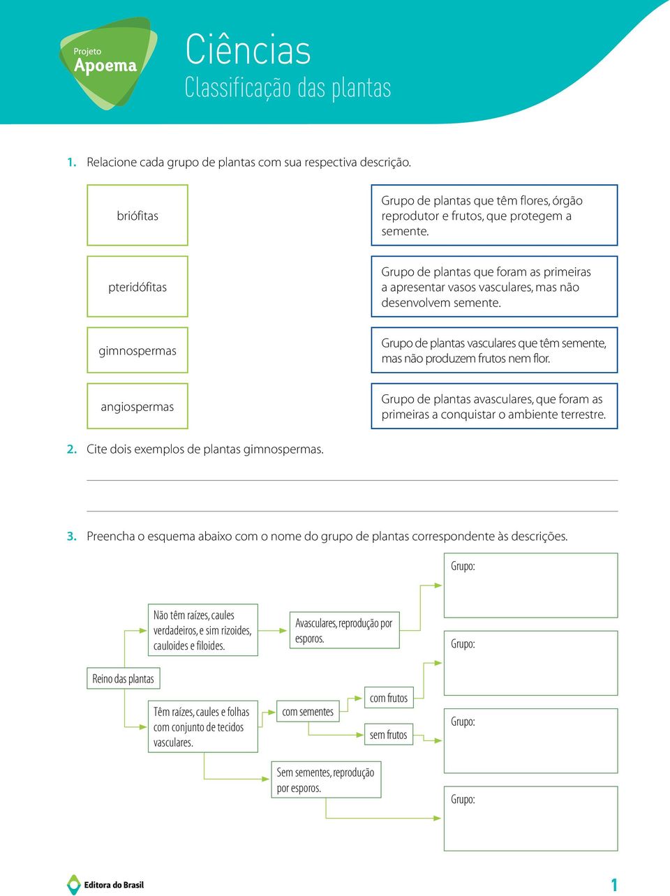 gimnospermas Grupo de plantas vasculares que têm semente, mas não produzem frutos nem flor. angiospermas Grupo de plantas avasculares, que foram as primeiras a conquistar o ambiente terrestre. 2.