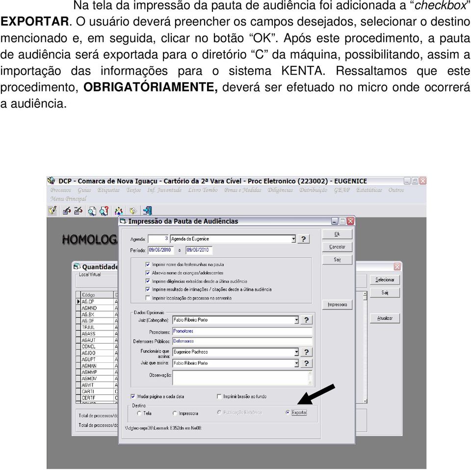 Após este procedimento, a pauta de audiência será exportada para o diretório C da máquina, possibilitando, assim a