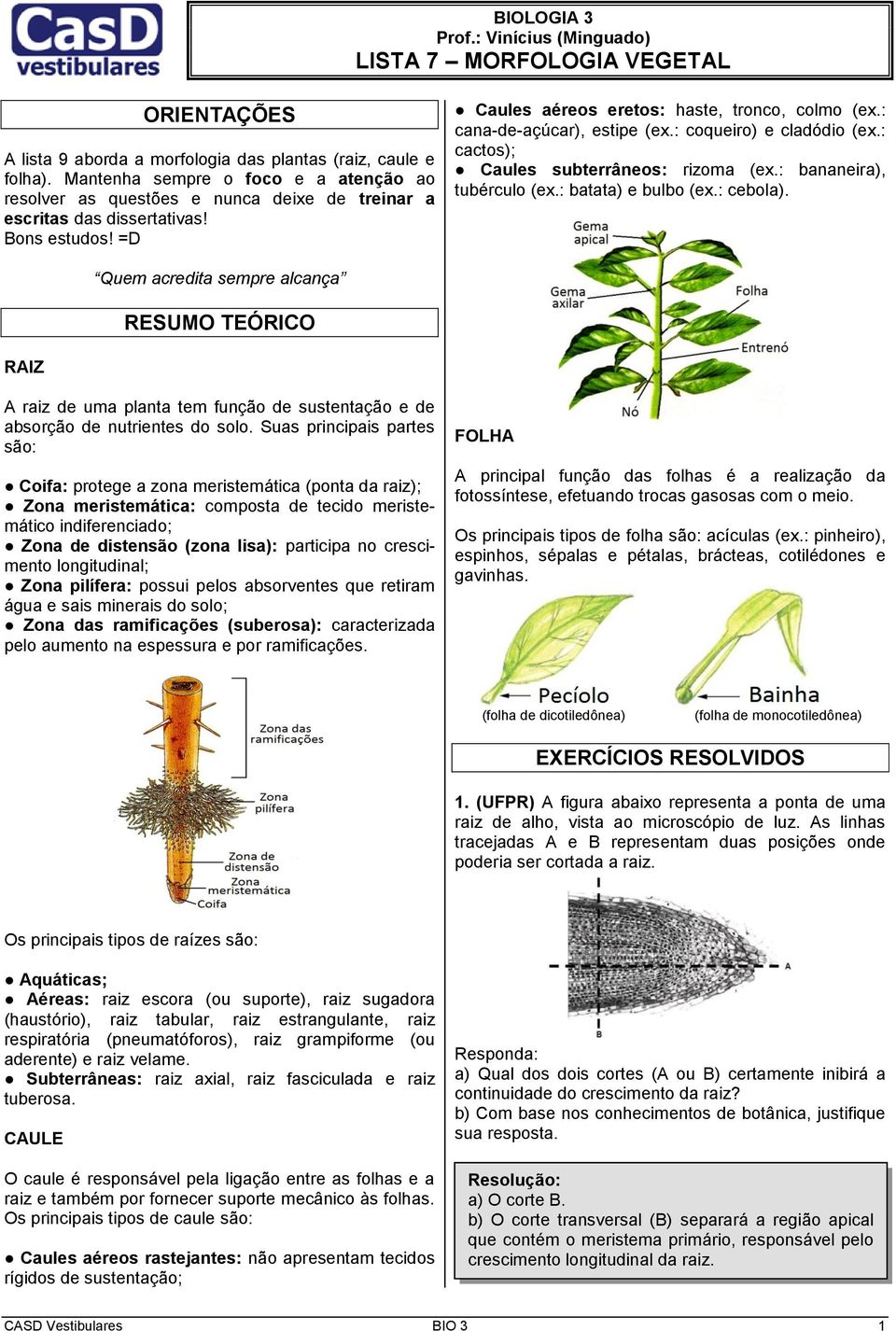 : cana-de-açúcar), estipe (ex.: coqueiro) e cladódio (ex.: cactos); Caules subterrâneos: rizoma (ex.: bananeira), tubérculo (ex.: batata) e bulbo (ex.: cebola).