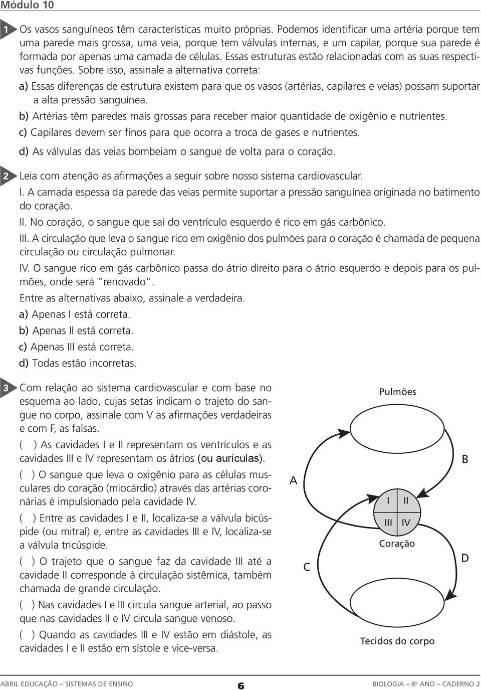 Essas estruturas estão relacionadas com as suas respectivas funções.