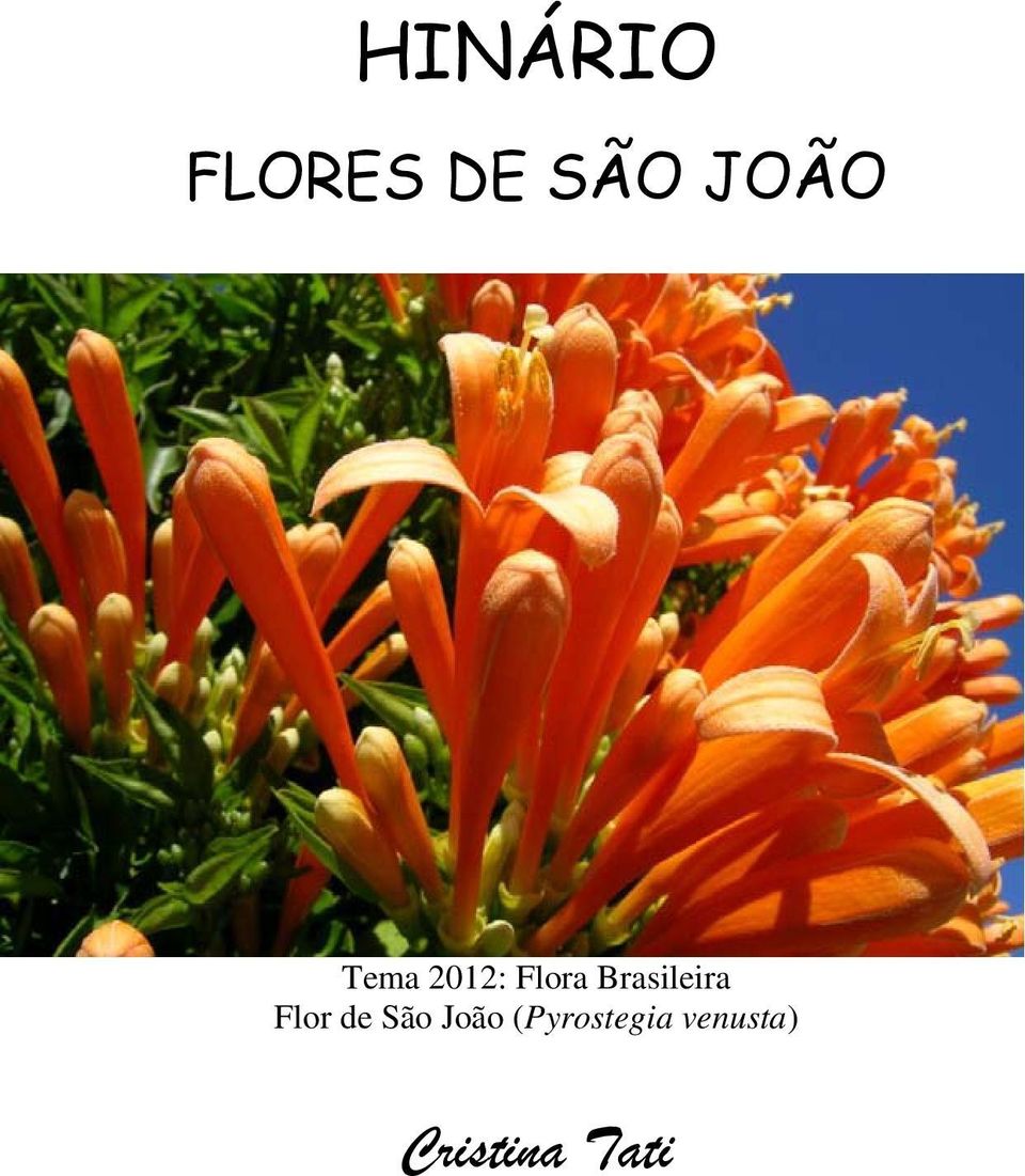 Brasileira Flor de São