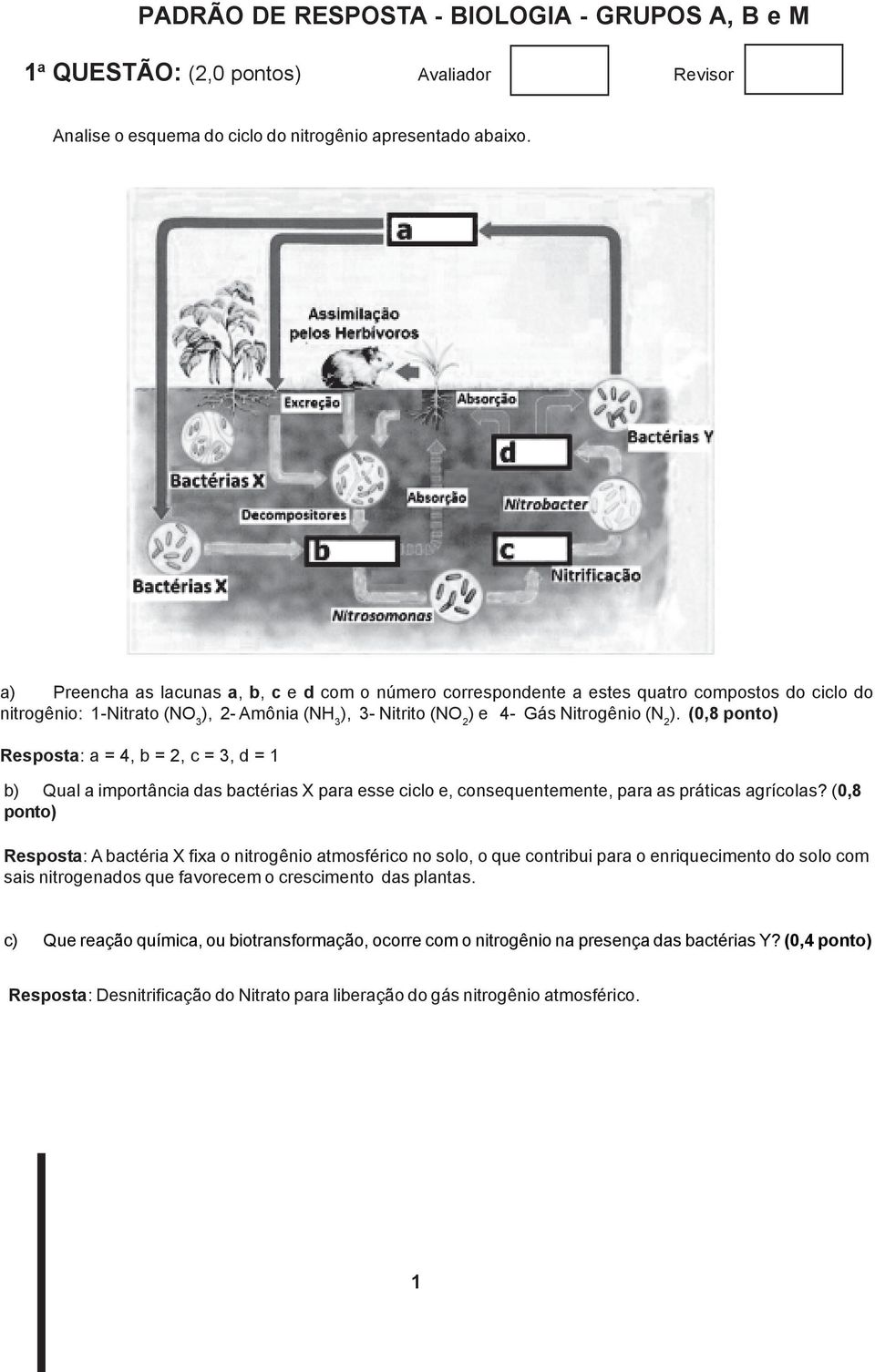 (0,8 ponto) Resposta: a = 4, b = 2, c = 3, d = 1 b) Qual a importância das bactérias X para esse ciclo e, consequentemente, para as práticas agrícolas?