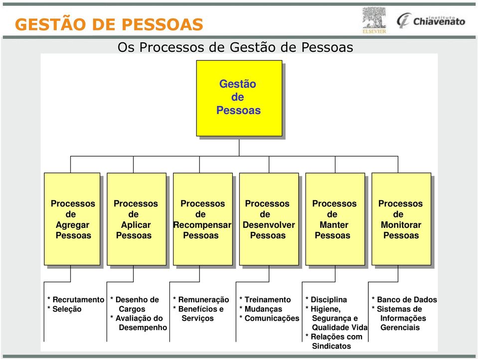 do Desempenho * Remuneração * Benefícios e Serviços * Treinamento * Mudanças * Comunicações *