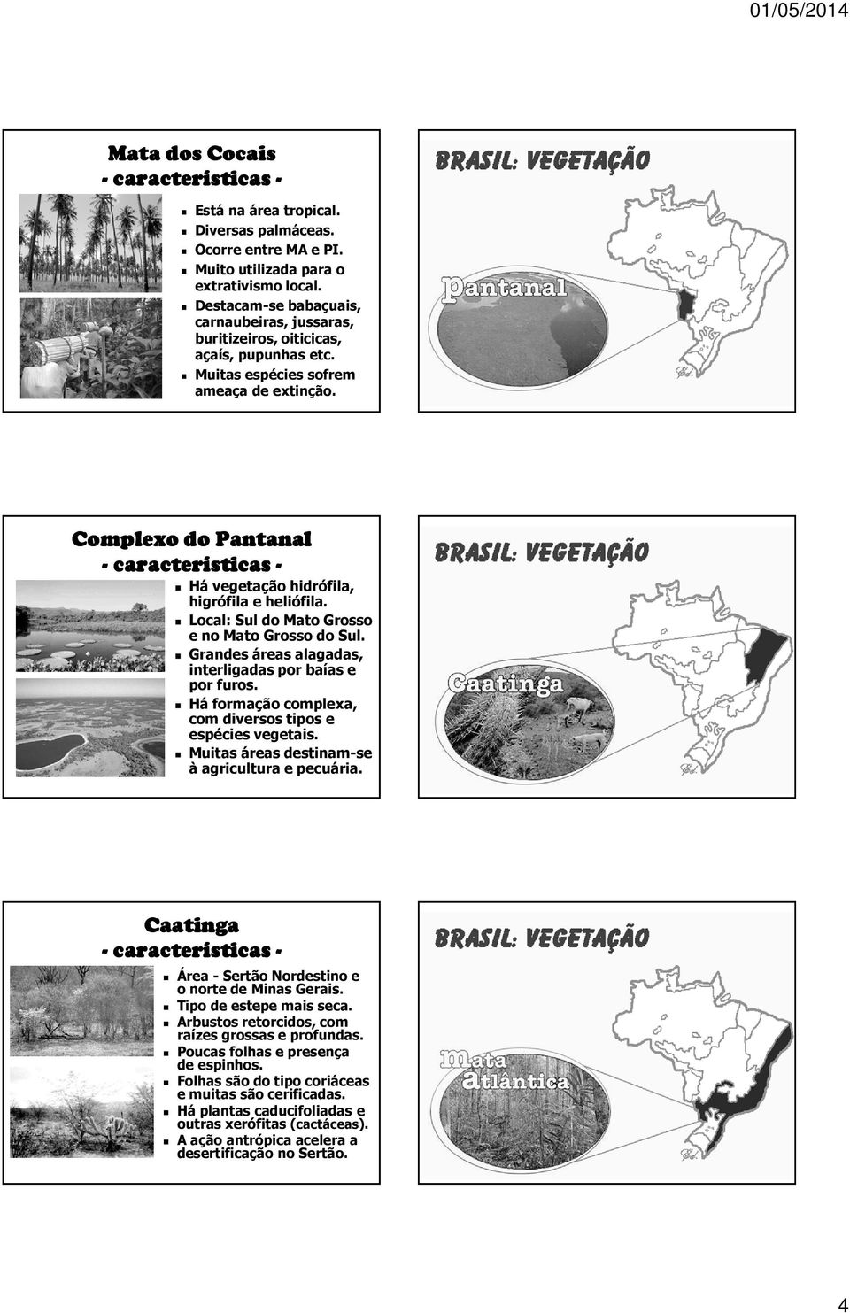 Complexo do Pantanal Há vegetação hidrófila, higrófila e heliófila. Local: Sul do Mato Grosso e no Mato Grosso do Sul. Grandes áreas alagadas, interligadas por baías e por furos.