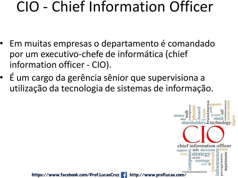 (chief information officer - CIO).