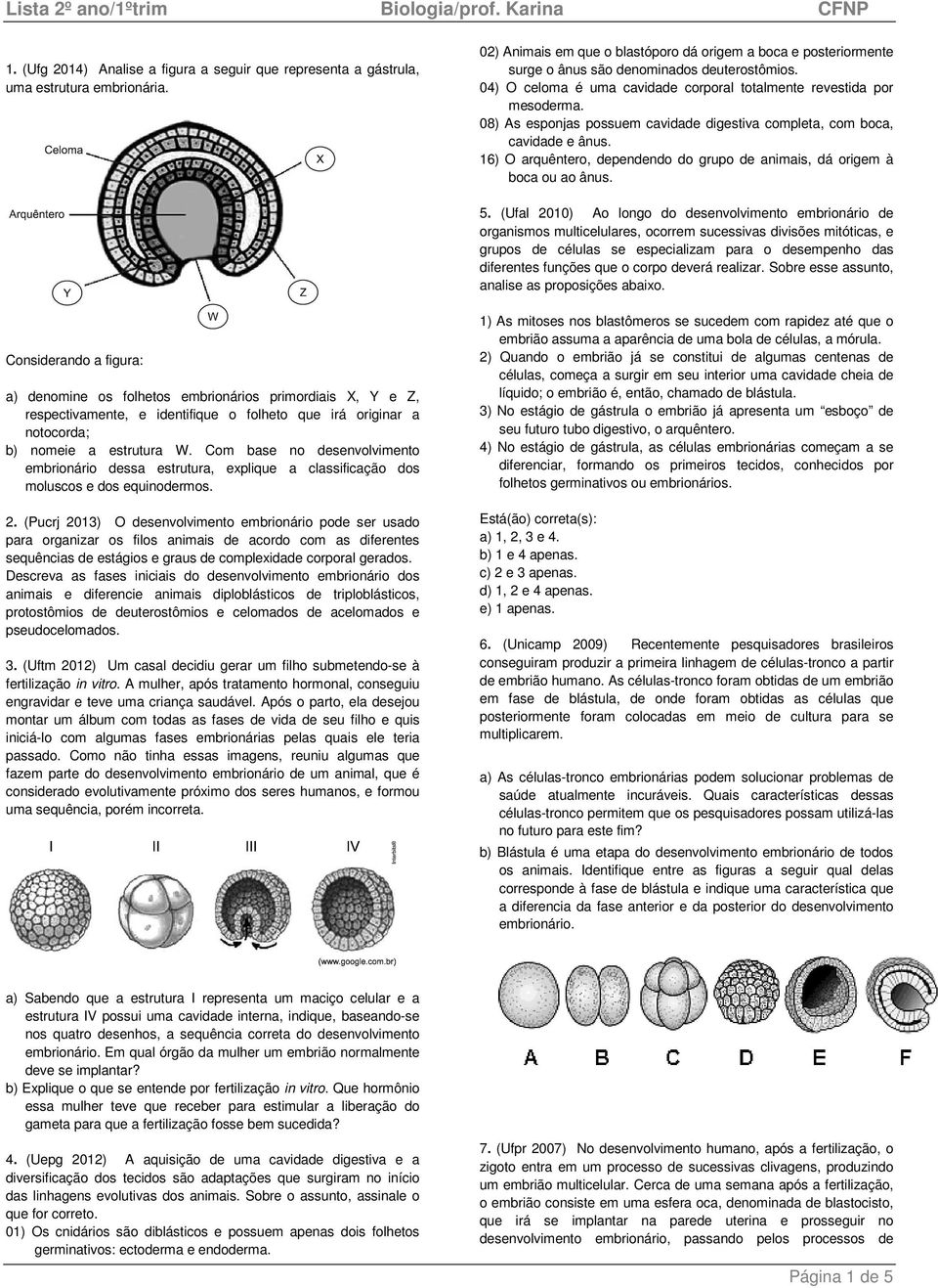 08) As esponjas possuem cavidade digestiva completa, com boca, cavidade e ânus. 16) O arquêntero, dependendo do grupo de animais, dá origem à boca ou ao ânus. 5.