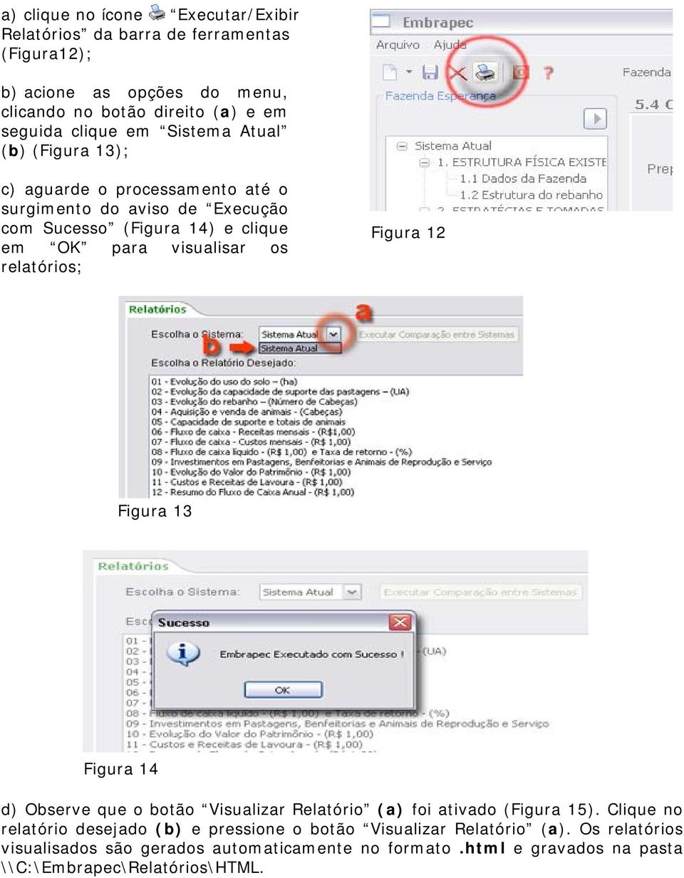 visualisar os relatórios; Figura 12 Figura 13 Figura 14 d) Observe que o botão Visualizar Relatório (a) foi ativado (Figura 15).