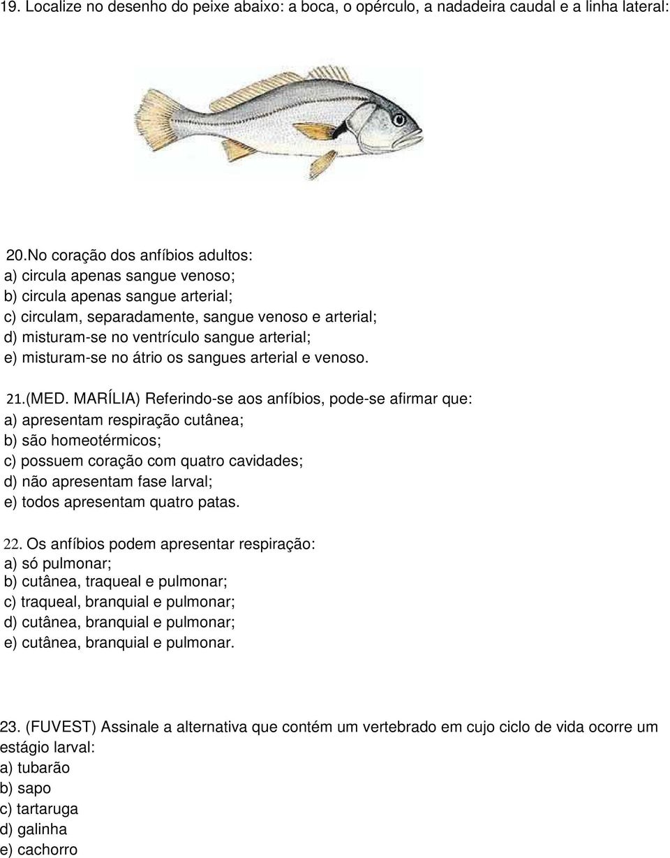 arterial; e) misturam-se no átrio os sangues arterial e venoso. 21.(MED.