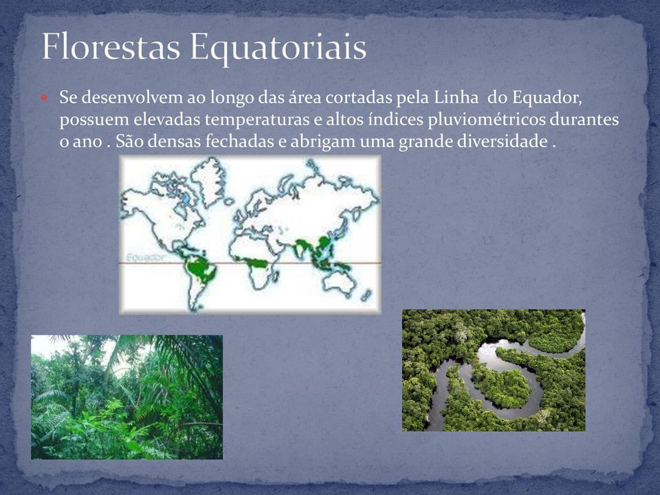 e altos índices pluviométricos durantes o ano.