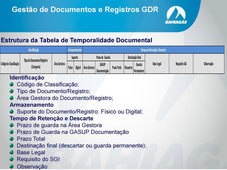 Tipo de Documento/Registro; Área Gestora do Documento/Registro; Armazenamento Suporte do Documento/Registro: Físico ou Digital; Tempo de Retenção e Descarte Prazo de guarda na