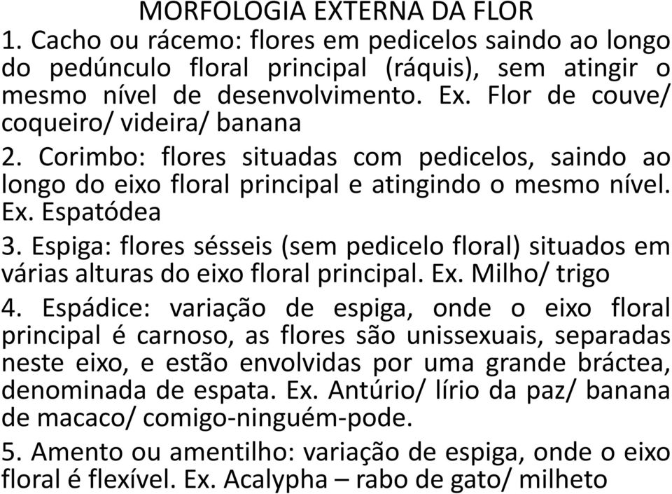 Espiga: flores sésseis (sem pedicelo floral) situados em várias alturas do eixo floral principal. Ex. Milho/ trigo 4.