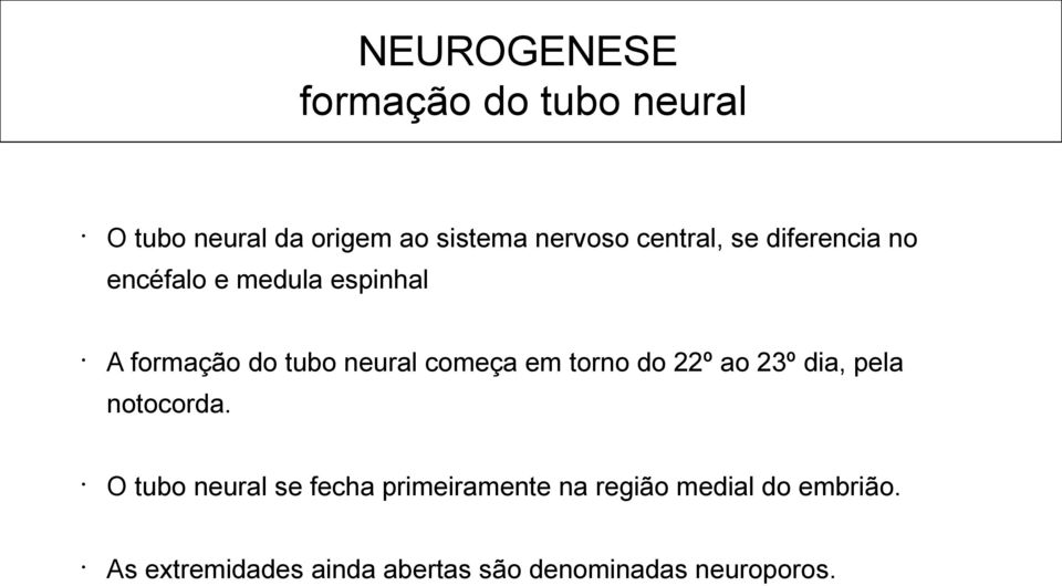 começa em torno do 22º ao 23º dia, pela notocorda.