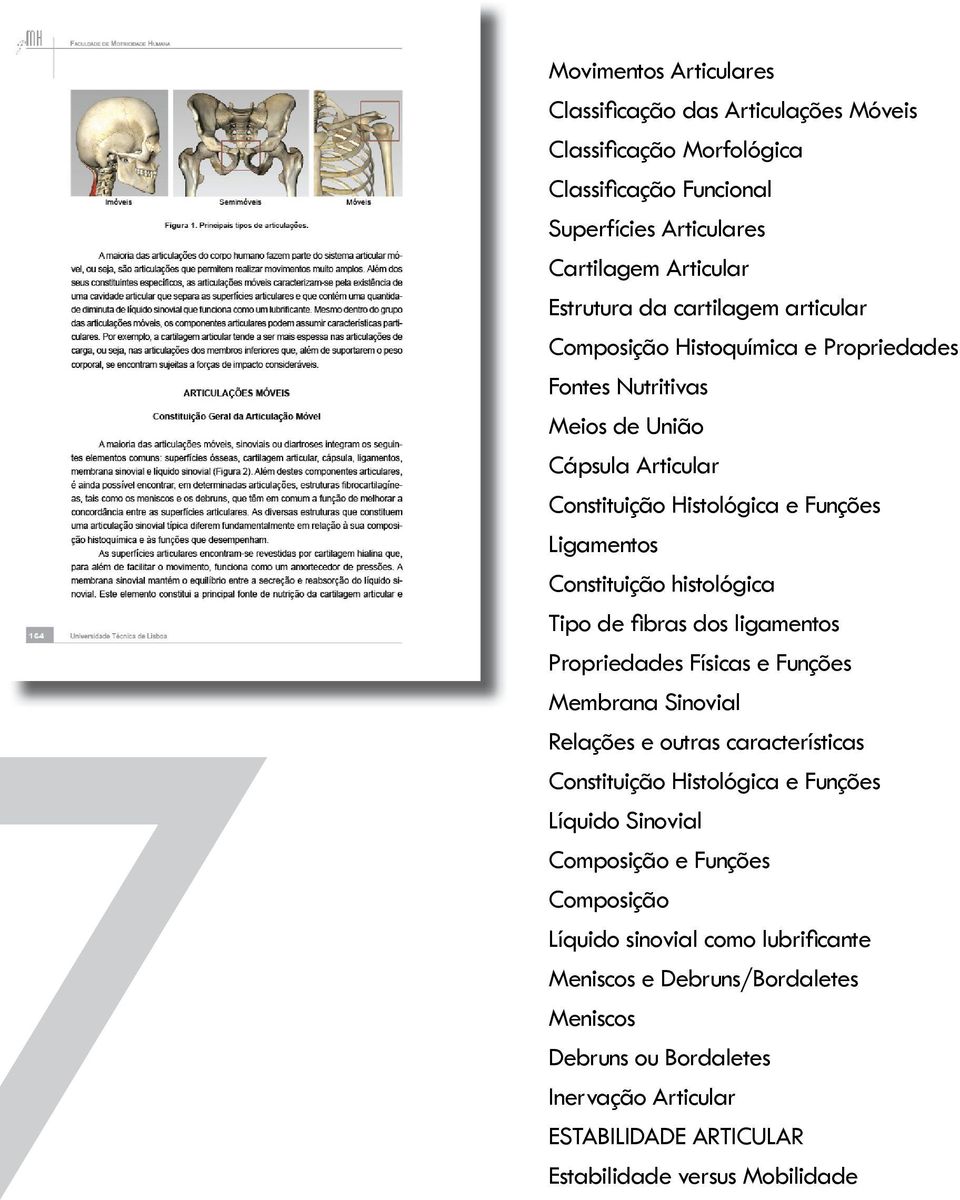 histológica Tipo de fi bras dos ligamentos Propriedades Físicas e Funções Membrana Sinovial Relações e outras características Constituição Histológica e Funções Líquido Sinovial