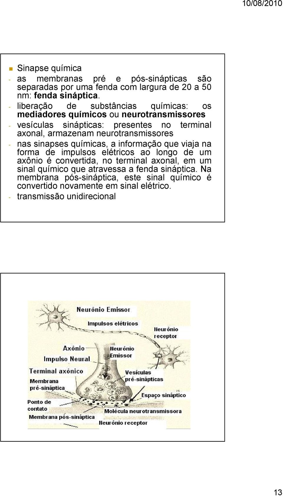 neurotransmissores - nas sinapses químicas, a informação que viaja na forma de impulsos elétricos ao longo de um axônio é convertida, no terminal
