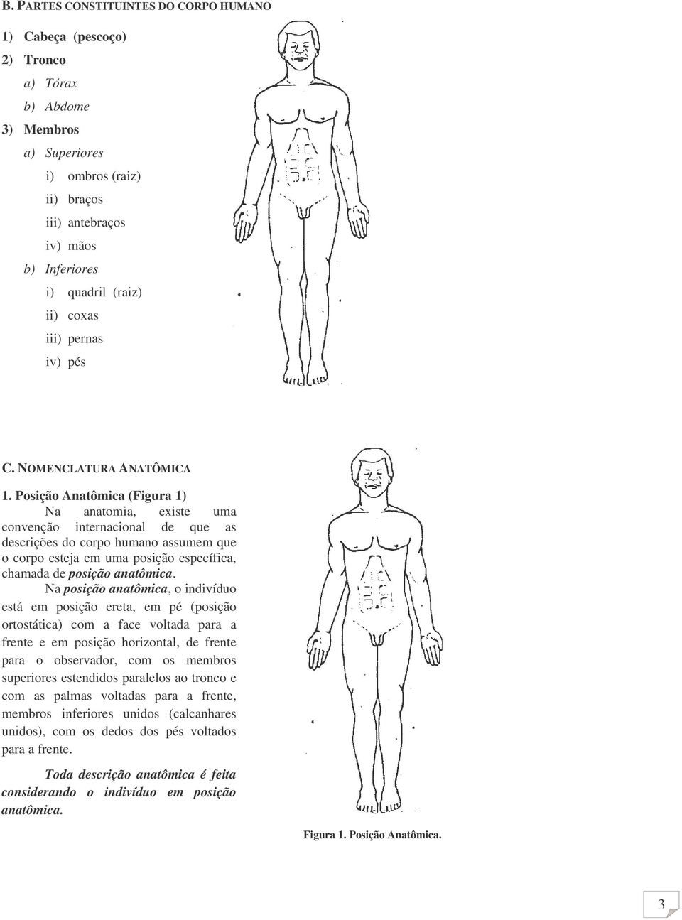 Posição Anatômica (Figura 1) Na anatomia, existe uma convenção internacional de que as descrições do corpo humano assumem que o corpo esteja em uma posição específica, chamada de posição anatômica.