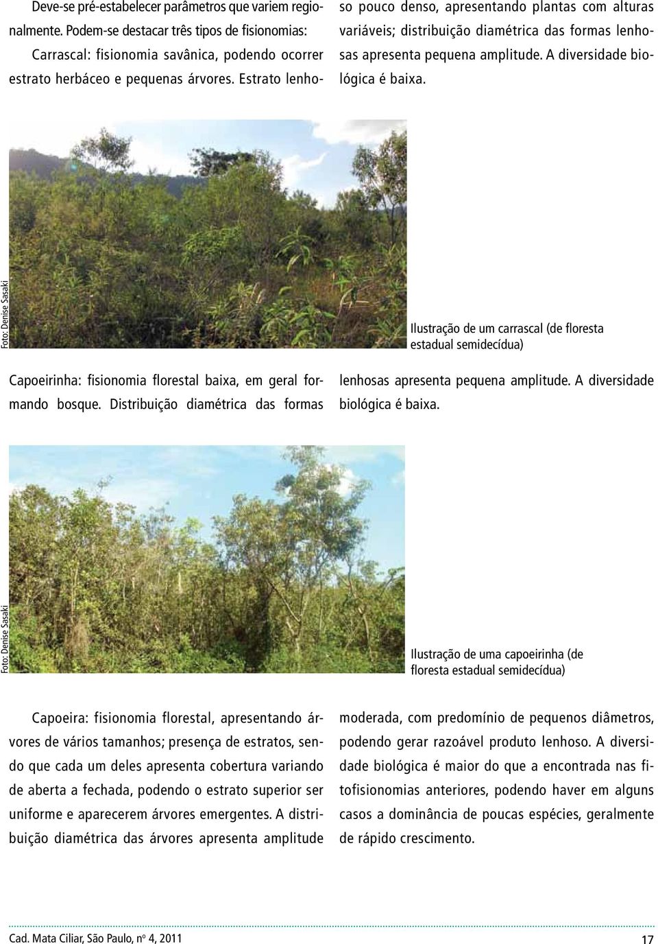 Foto: Denise Sasaki Capoeirinha: fisionomia florestal baixa, em geral formando bosque.