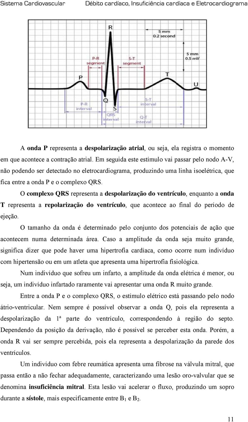 O complexo QRS representa a despolarização do ventrículo, enquanto a onda T representa a repolarização do ventrículo, que acontece ao final do período de ejeção.