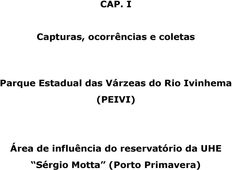 Ivinhema (PEIVI) Área de influência do