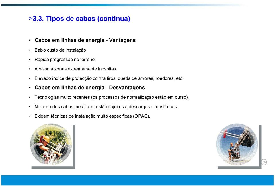 Elevado índice de protecção contra tiros, queda de arvores, roedores, etc.