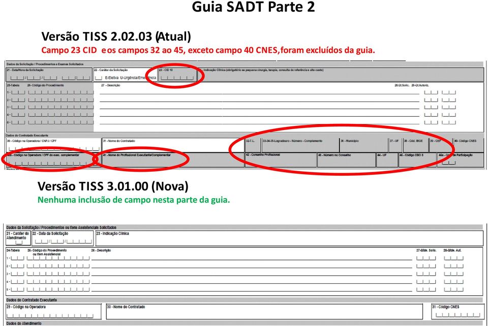 exceto campo 40 CNES, foram excluídos da guia.