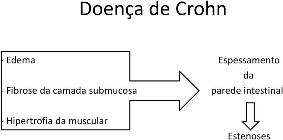 camada submucosa parede