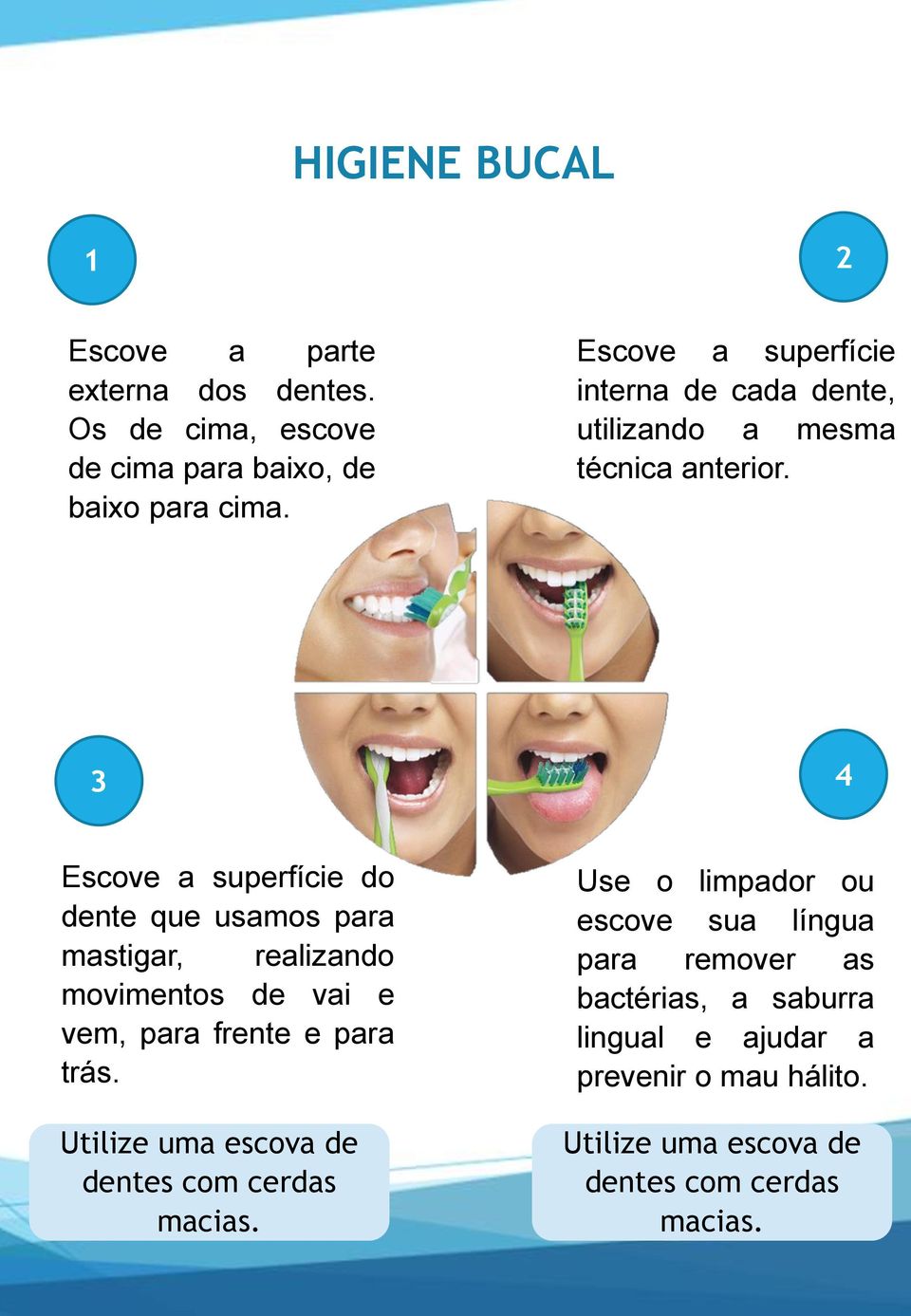 3 4 Escove a superfície do dente que usamos para mastigar, realizando movimentos de vai e vem, para frente e para trás.